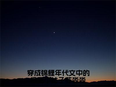 穿成锦鲤年代文中的极品小姑子苏淼淼（苏淼淼）全文免费阅读-（苏淼淼无弹窗阅读）最新章节小说免费阅读