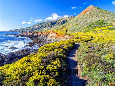 江晚宁宁泽川小说（宁泽川江晚宁）最新章节阅读-江晚宁宁泽川（宁泽川江晚宁）免费阅读无弹窗大结局