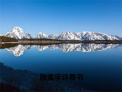 （后续）+（全文）（许景书陆淮年）陆淮年许景书精彩小说-许景书陆淮年全章节免费阅读