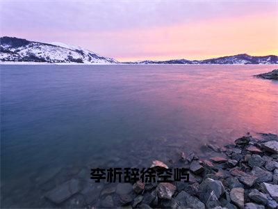 李析辞徐空屿（李析辞徐空屿）小说最新章节-李析辞徐空屿全文免费阅读无弹窗大结局