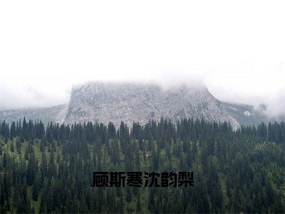 沈韵梨顾斯寒人气小说顾斯寒沈韵梨创在线阅读-正版小说《顾斯寒沈韵梨》沈韵梨顾斯寒全文阅读