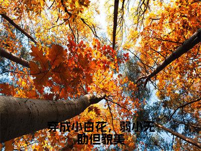 褚砚林雾夕（穿成小白花，弱小无助但貌美）全文在线阅读无弹窗大结局_穿成小白花，弱小无助但貌美全文无弹窗最新章节列表_笔趣阁