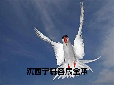 沈西宁慕容辰2023最新热门榜单小说 沈西宁慕容辰在线阅读