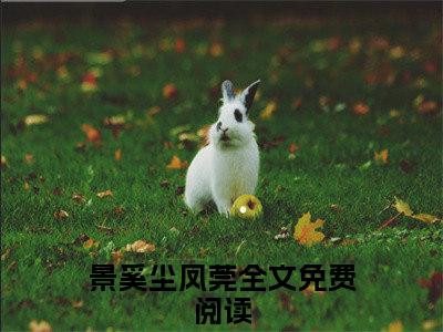 景奚尘凤莞小说全文免费阅读（景奚尘凤莞）全文免费阅读无弹窗大结局_(景奚尘凤莞)景奚尘凤莞小说免费阅读无弹窗最新章节列表_笔趣阁（景奚尘凤莞）