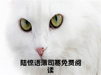 五年后她带着三个幼崽虐翻财阀家族（陆惊语薄司寒）全文免费阅读无弹窗大结局_陆惊语薄司寒免费阅读最新章节列表_笔趣阁