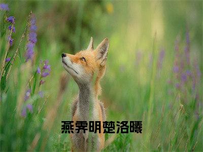 燕霁明楚洛曦（燕霁明楚洛曦）全文小说-燕霁明楚洛曦小说最新章节免费阅读