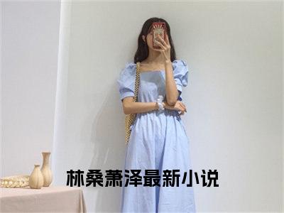 林桑萧泽（林桑萧泽）全文免费阅读无弹窗大结局_林桑萧泽最新章节列表_笔趣阁