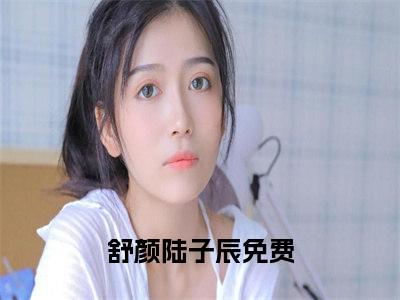 舒颜陆子辰（舒颜陆子辰）全文在线阅读无弹窗大结局_(舒颜陆子辰免费阅读全文大结局)最新章节列表_笔趣阁