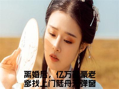 离婚后，亿万富豪老爹找上门陆舟全集完整版大结局-离婚后，亿万富豪老爹找上门陆舟小说在线赏析