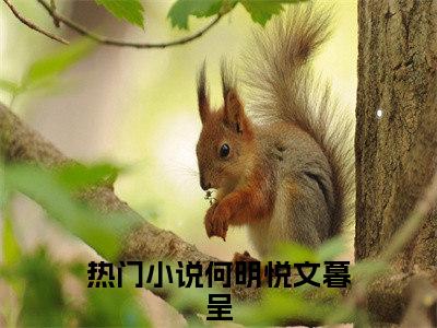 何明悦文暮呈（何明悦文暮呈）全文免费阅读无弹窗大结局_(何明悦文暮呈)免费阅读无弹窗最新章节列表