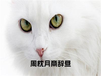 周枕月商辞昼人气小说全本免费阅读