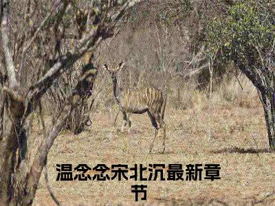 温念念宋北沉（温念念宋北沉）完整版小说阅读_温念念宋北沉全文免费阅读最新章节列表_笔趣阁