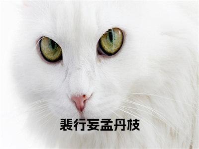 裴行妄孟丹枝小说无广告免费阅读无删减