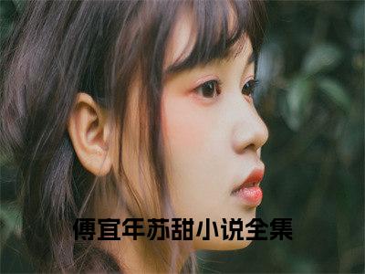 傅宜年苏甜（傅宜年苏甜）小说第20章第3节讲述的是什么？傅宜年苏甜小说在线阅读