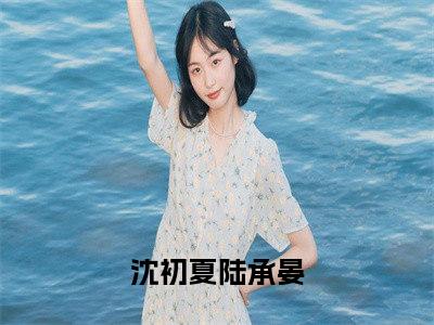 沈初夏陆承晏(沈初夏陆承晏）小说全文免费阅读无弹窗大结局_（沈初夏陆承晏）沈初夏陆承晏小说全文免费阅读最新章节列表笔趣阁（沈初夏陆承晏）