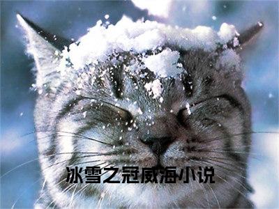 冰雪之冠威海小说小说全文免费阅读（冰雪之冠威海）全文免费冰雪之冠威海读无弹窗大结局