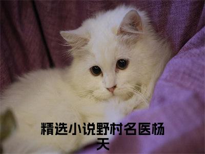 野村名医杨天小说后续阅读无弹窗大结局_（野村名医杨天阅读无弹窗）最新章节列表_笔趣阁（野村名医杨天）