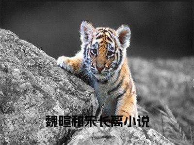 魏暄和宋长离小说（魏暄和宋长离）全文免费阅读无弹窗大结局_魏暄和宋长离最新章节列表_