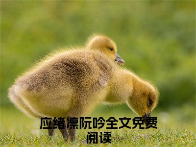 应绪凛阮吟小说免费版最新更新阅读-应绪凛阮吟全文免费阅读