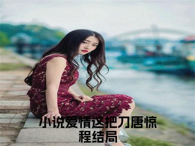 爱情这把刀唐惊程（爱情这把刀唐惊程）小说全文免费阅读无弹窗_（爱情这把刀唐惊程）最新章节列表_笔趣阁