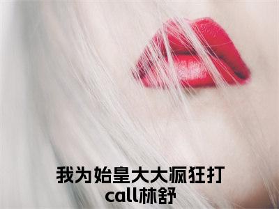 我为始皇大大疯狂打call林舒免费小说-我为始皇大大疯狂打call林舒完结版在线阅读