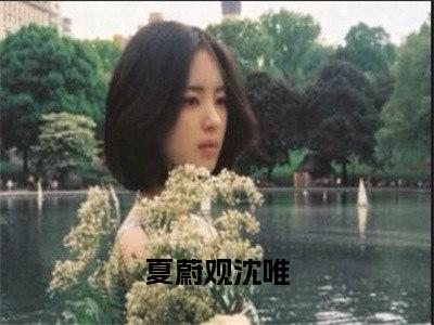 沈唯夏蔚观小说（夏蔚观沈唯）全文免费阅读无弹窗大结局_夏蔚观沈唯最新章节列表_笔趣阁（沈唯夏蔚观）