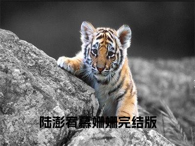 爱情姗姗来迟（陆澎宥慕姗姗）全文免费阅读无弹窗大结局_爱情姗姗来迟免费阅读最新章节列表_笔趣阁