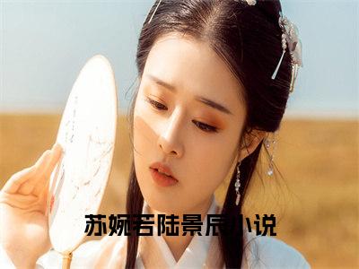 苏婉若陆景辰全文免费阅读_（苏婉若陆景辰小说）苏婉若陆景辰言情小说在线阅读笔趣阁