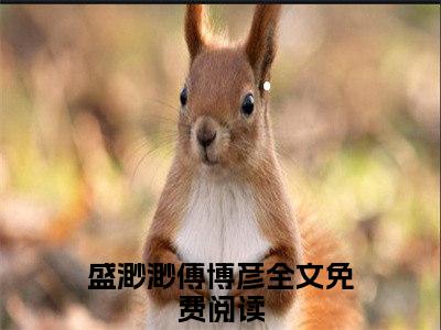 盛渺渺傅博彦小说（盛渺渺傅博彦）全文免费阅读无弹窗_盛渺渺傅博彦小说最新章节免费阅读_笔趣阁