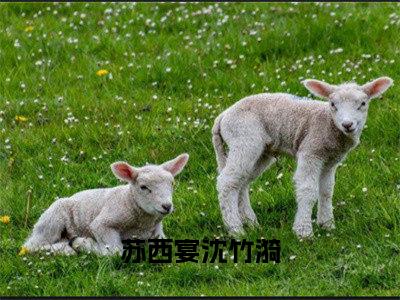 苏西宴沈竹漪小说最新章节试读_苏西宴沈竹漪是(苏西宴沈竹漪)小说主角热门推荐_笔趣阁