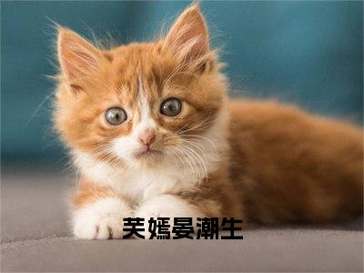 从出生那刻起，就注定了一生无人爱她（芙嫣晏潮生）全文免费阅读无弹窗大结局_从出生那刻起，就注定了一生无人爱她最新章节列表（芙嫣晏潮生）