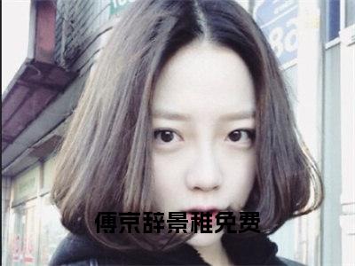 免费小说（傅京辞景稚）全文无弹窗阅读 傅京辞景稚大结局免费阅读无弹窗