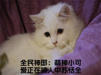 全民神邸：萌神小可爱正在撩人中苏恬全文免费阅读无弹窗大结局-全民神邸：萌神小可爱正在撩人中苏恬在线阅读