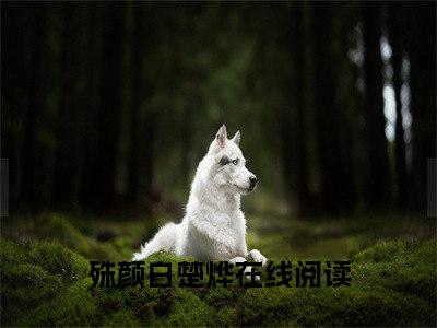 【新书】此生不相见全文全章节免费阅读-殊颜白楚烨小说免费阅读无弹窗最新章节列表