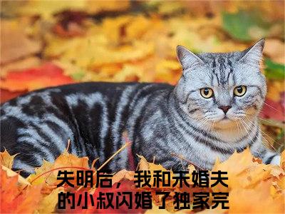 宋时微陆渊「精彩小说」无弹窗阅读失明后，我和未婚夫的小叔闪婚了大结局阅读