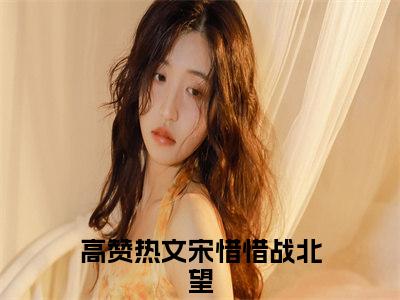 宋惜惜战北望（宋惜惜战北望精彩美文）免费阅读-小说宋惜惜战北望最后结局如何