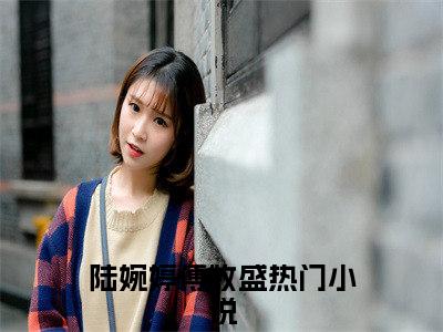 《陆婉婷傅牧盛》最新章节_陆婉婷傅牧盛全文阅读