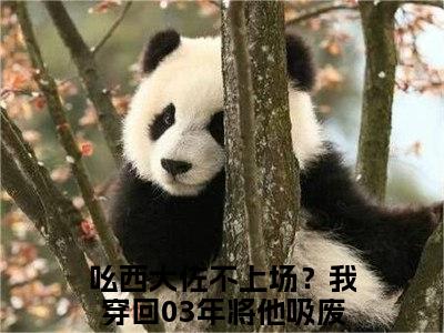 吆西大佐不上场？我穿回03年将他吸废！夏普后续+番外（吆西大佐不上场？我穿回03年将他吸废！夏普）全文免费阅读无弹窗大结局_吆西大佐不上场？我穿回03年将他吸废！夏普后续+番外免费阅读_笔趣阁（吆西大佐不上场？我穿回03年将他吸废！夏普后续+番外）