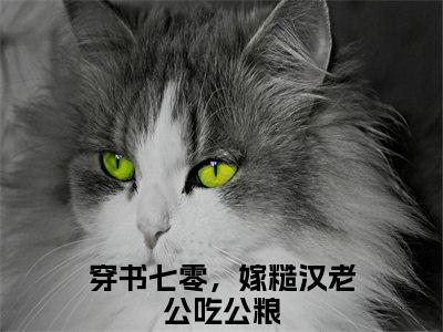 穿书七零，嫁糙汉老公吃公粮（沈堰姜染）全文免费阅读_沈堰姜染（穿书七零，嫁糙汉老公吃公粮）全文阅读