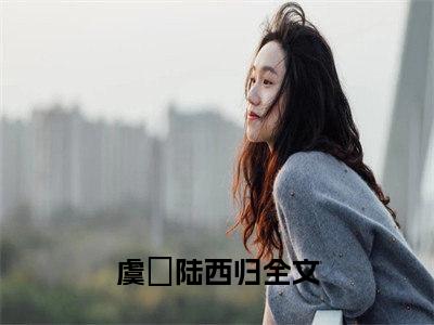 小说虞晞陆西归免费阅读-（虞晞陆西归）全文无弹窗阅读