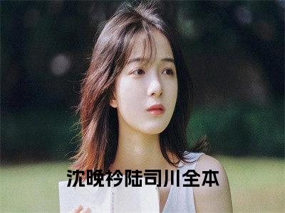 沈晚衿陆司川多人追免费无弹窗小说，沈晚衿陆司川已完结全集大结局