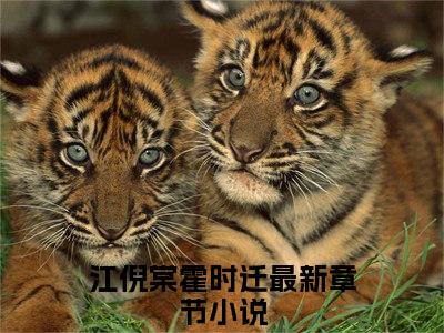 江倪棠霍时迁小说全文阅读-江倪棠霍时迁小说全文完整版免费阅读