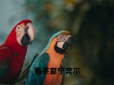 春茶宴宁莞尔小说最后结局(春茶宴宁莞尔)完结版免费阅读