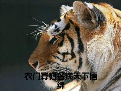 农门寡妇名满天下唐绵全网首发最新小说-农门寡妇名满天下唐绵全文在线免费阅读