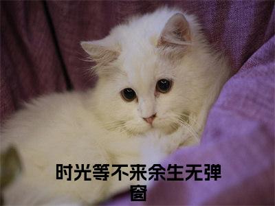 时笙顾辰澈（时光等不来余生）全文在线阅读无弹窗_时笙顾辰澈小说全文大结局