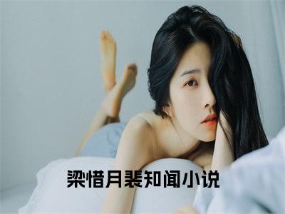 抖音热推梁惜月裴知闻无弹窗阅读梁惜月裴知闻小说免费阅读无弹窗