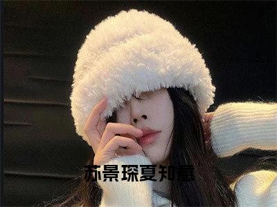 苏景琛夏知意是什么小说-（苏景琛夏知意）小说全文阅读