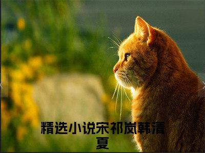 宋祁岚韩清夏（宋祁岚韩清夏）全文免费大结局，宋祁岚韩清夏结局在线阅读