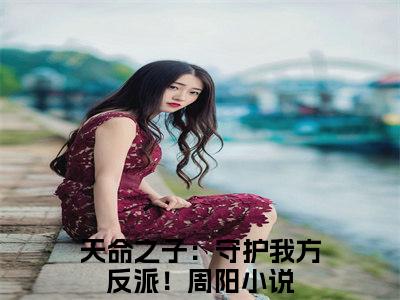 天命之子：守护我方反派！周阳无弹窗热文在线阅读-天命之子：守护我方反派！周阳小说在哪里可以看