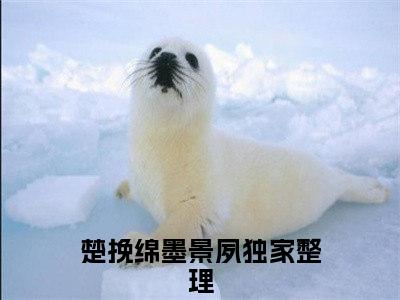 （楚挽绵墨景夙）宠溺归来全文免费阅读无弹窗大结局_（宠溺归来）楚挽绵墨景夙免费阅读无弹窗最新章节列表